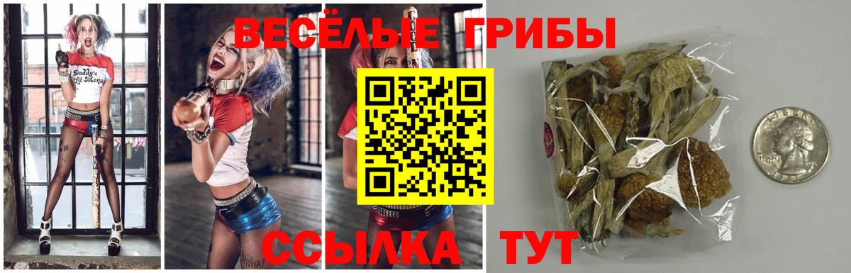 Биробиджан  Галлюциногенные грибы Cubensis  Вход с VPN 