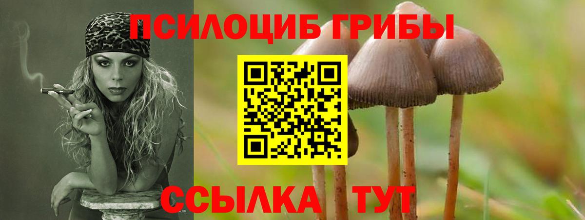 Галлюциногенные грибы мухоморы Биробиджан